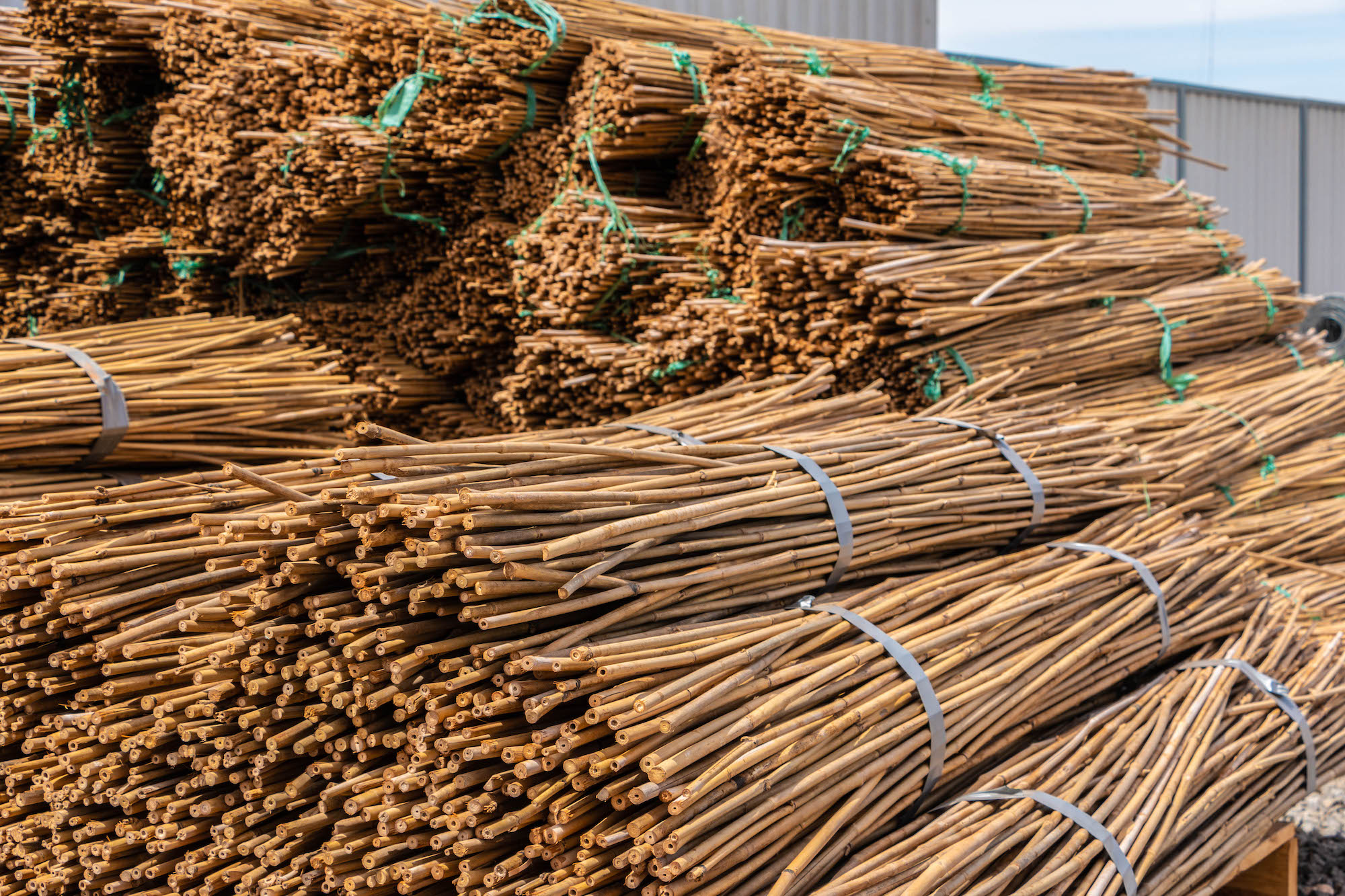 Taylors Farm Supplies Taylors Farm Supplies