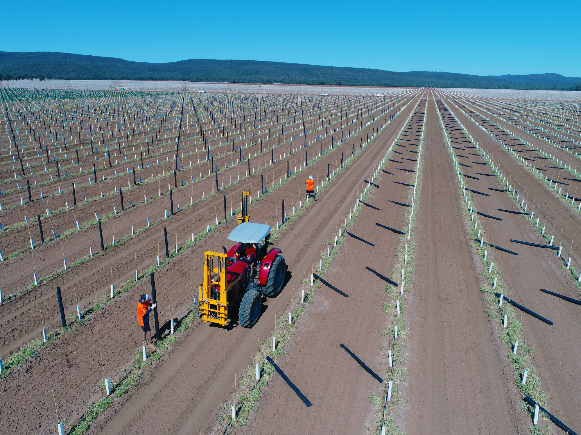 Taylors Farm Supplies Taylors Farm Supplies